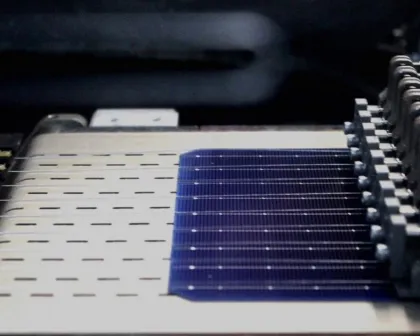 Original Solar Pv Module 315W sale Talesun
