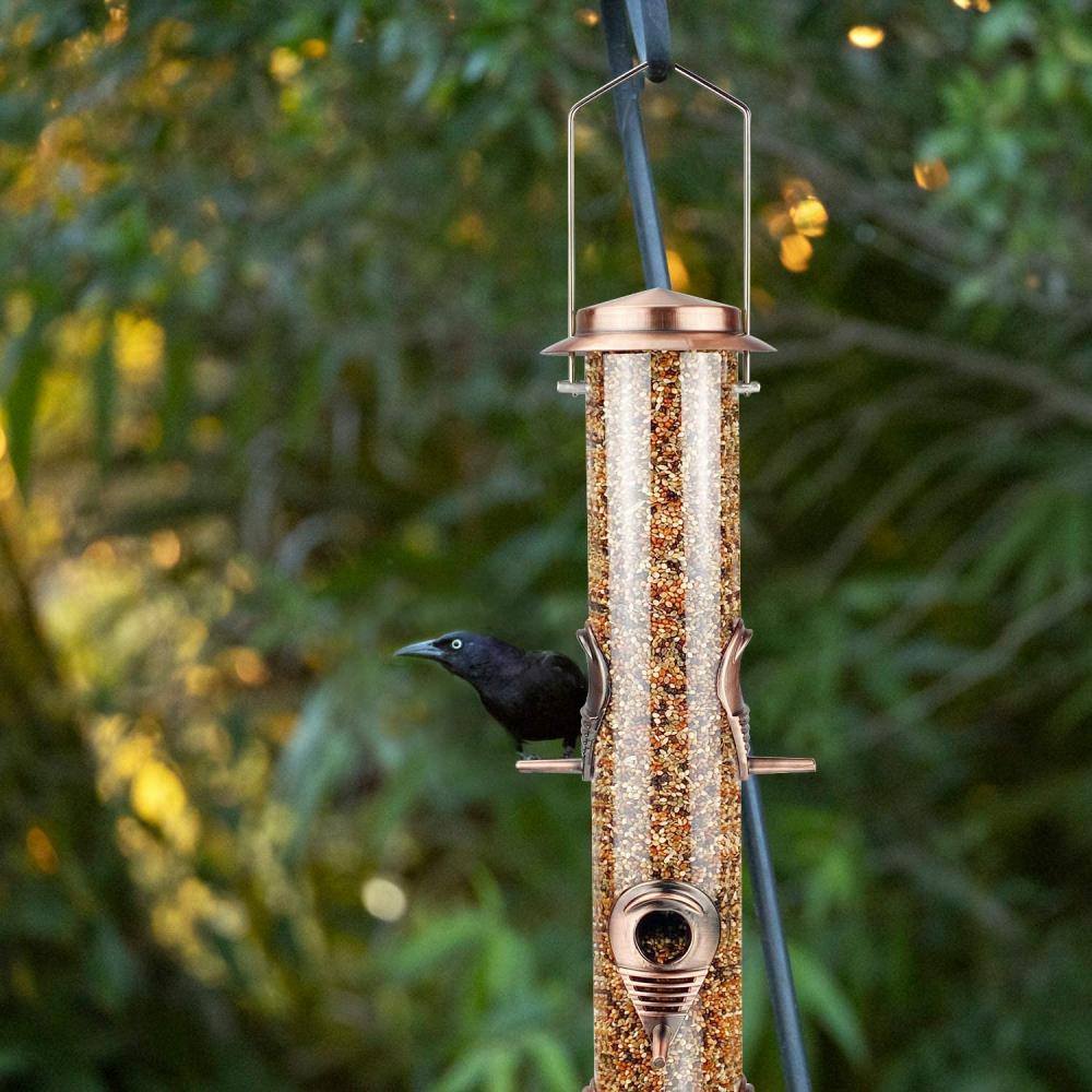 Comedero de semillas de pájaros salvajes que cuelgan tubo