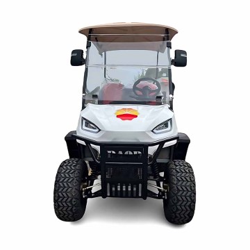 Chinese Electric and Gas Golf Carts - 2 to 6 Seater Prices and Models