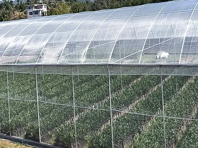 GREENHOUSE INSECT NET