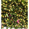 বিলাসবহুল ব্লু ফুজি পিওনি ফুলের ব্যবস্থা