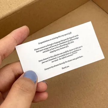 Mini Scented Car Perfume Cards - Fragrance on the Go