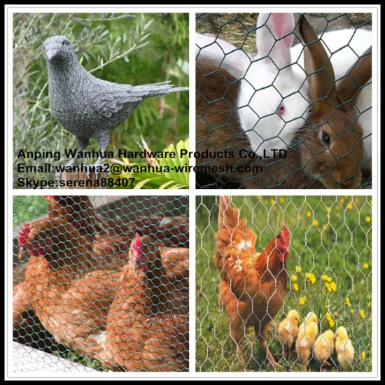 Popular size hexagonal wire rabbit mesh with hot dip galvanised
