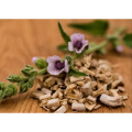 Premium Hollyhock Root Extract for Natural Health Boost