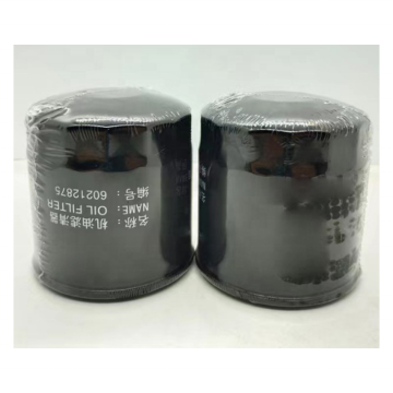 60212875 Oil Filter for SANYI LF3376 B229 51374 P550318