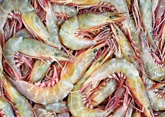 Frozen Seafood Sword Shrimp