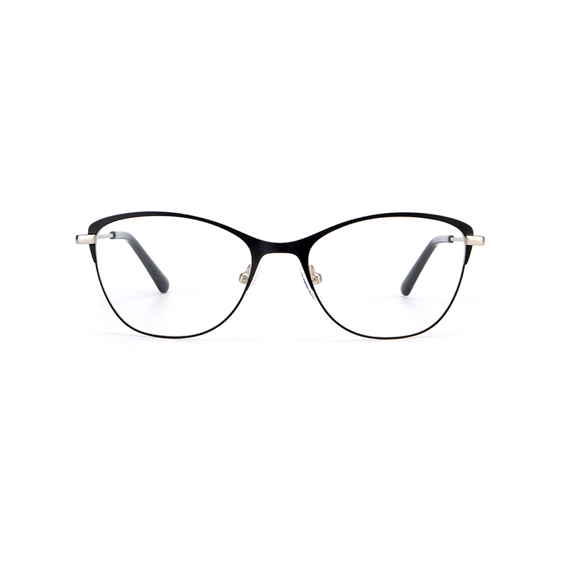 Two Tones Metal Eyeglasses 1
