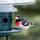 Squirrel Buster Plus Squirrel Proof Bird Feeder