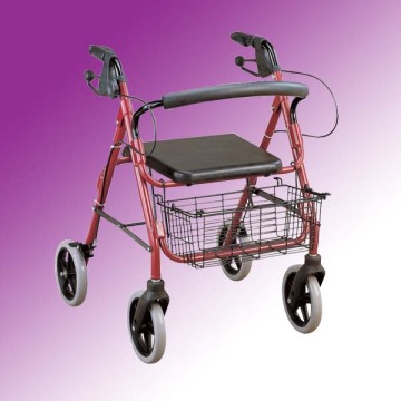 Walking Aids (ME327)