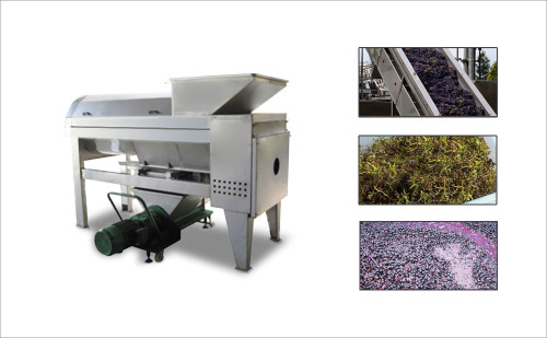 Grape Destemmer And Crusher Machine