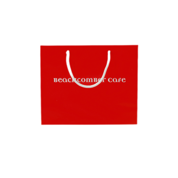 Customized Size Design Advance Clothing Shopping Paper Bag