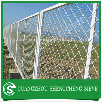 Beautiful grid wire mesh/ galvanized beautiful grid mesh