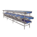 Multi-Layer Sorting And Picking Conveyor for vegetable