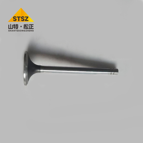 Imported underground hauler R1300 exhaust valve 148-7455
