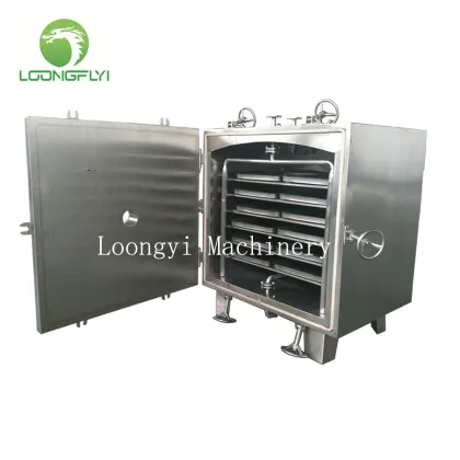 Fruit vegetable vacuum dryer machine