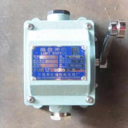 Limited Switch (LX918-120)