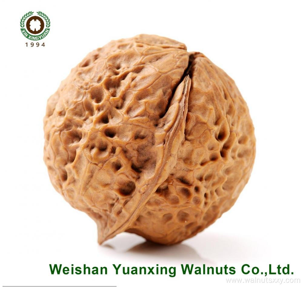 Factory price competitive walnut kernels Pieces