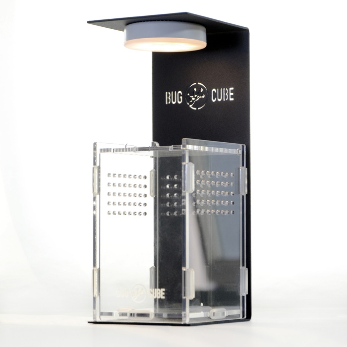 Caixa de criação de acrílico de alta transmitância