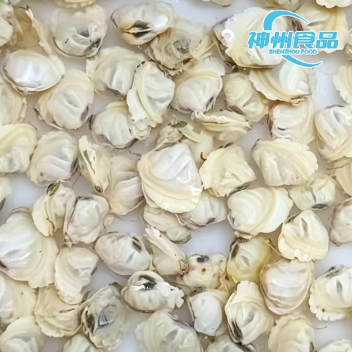 Vongole fresche senza sabbia e carne congelata di prima qualità