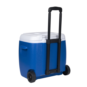 Outdoor Food Cooler Box & Beer Ice Cooler Box
