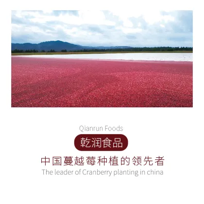 Sugar Dried Cranberries - No added cane sugar