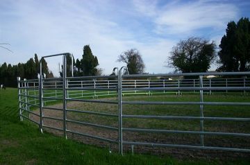 horse fence