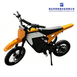 Yellow 1000W Off-Road Electric Dirt Bike