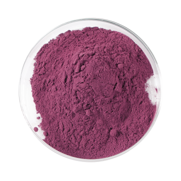 Buy bilberry powder CNCSBIO