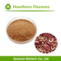 Flavonas de extracto de hojas de espino / bayas 10% en polvo