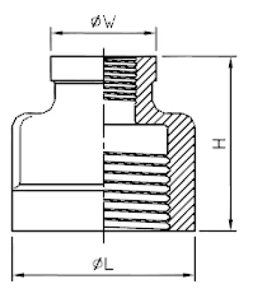Lost Wax Precision Casting reducing-nipple Pipe Fittings