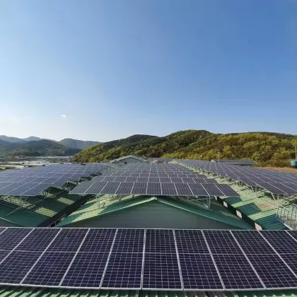 High-Power Mono Solar Panels: Jinko, Risen, DMEGC, GCL, JA 300W to 550W