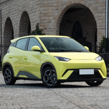 BYD Importer Offers New Micro EVs: Latest China Mini Electric Car BYD Seagull