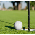 Цена коврового покрытия для поля для гольфа