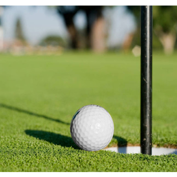 Prix ​​de l&#39;herbe de tapis pour le terrain de golf