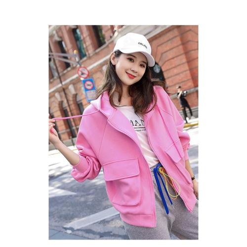 women's spring and autumn new hooded sweater