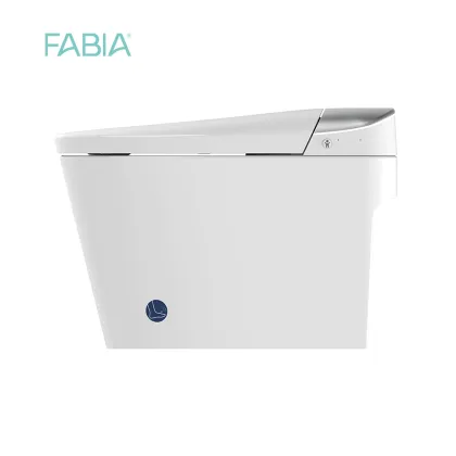 Remote Control Smart Flush Toilet with Baby Seat