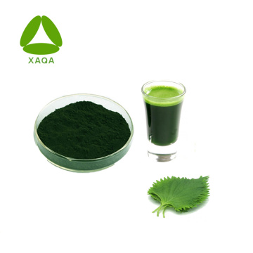 Green Pigment Chlorophyllin Liquid Mulberry Leaf Extract