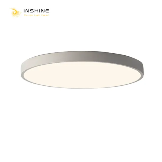 INSHINE Flush Single Ceiling Lights