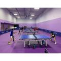 Punto de interior antideslizante PVC Corte de ping-Pong Gimnasio / baloncesto / Pista de tenis de mesa PVC Sport Sport