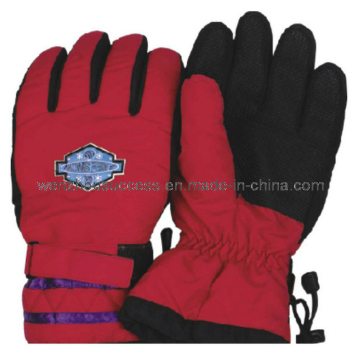Ski- Gloves (SH12-2G036)