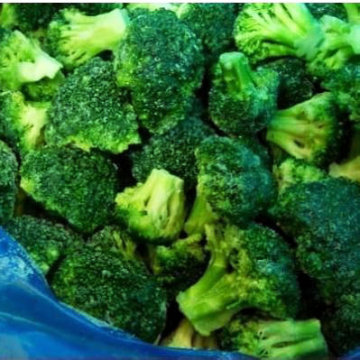 IQF FROZEN BROCCOLI