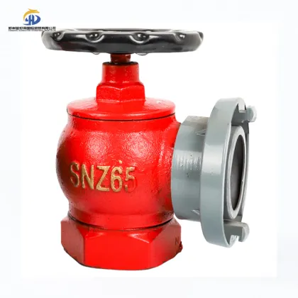 Rotating Indoor Brass Fire Hydrant