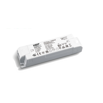 R22 CG-1 30W ECO CV LED-Treiber