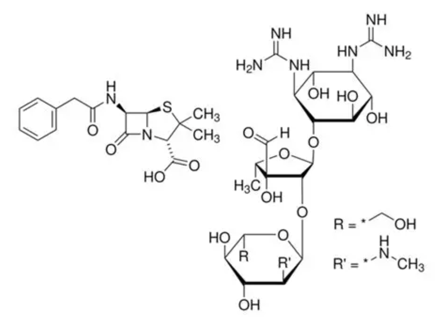 Trypsin for Protein Hydrolysis