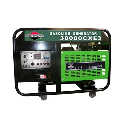 6.5KW BRIGGS STRATTON Home ​Gasoline Generator