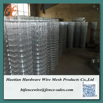 Galvanized welded wire mesh/22 gauge