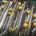 Zitronengröße-Grading-Linie