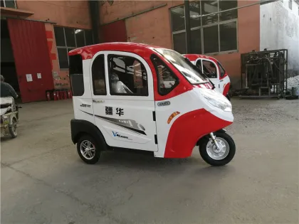 elderly support vehicle lien search