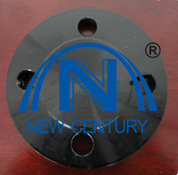 DIN2527 Blind forged flange