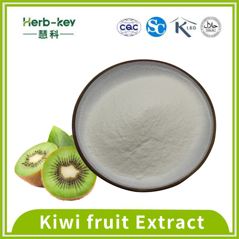 Rico en vitamina C bebida sólida en polvo de kiwi